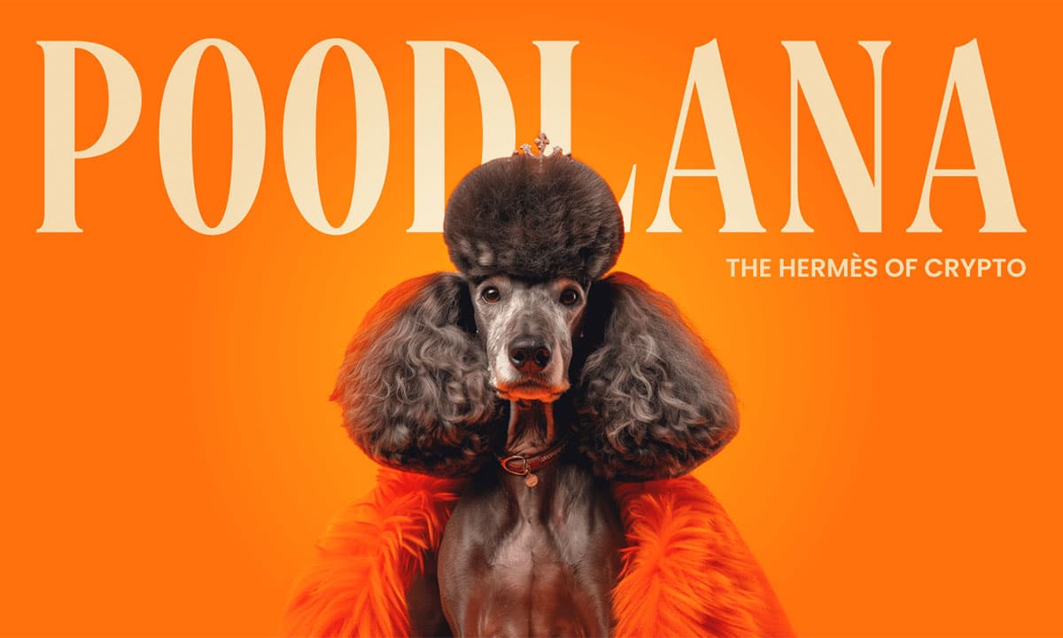 上場前の24時間の熱狂：Poodlanaプレセール終了 ー 710万ドル調達