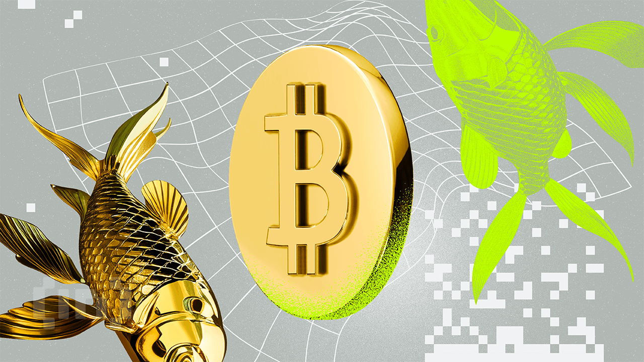 ビットコイン、流動性ブームで金の上昇を100日遅れで追う＝アナリスト