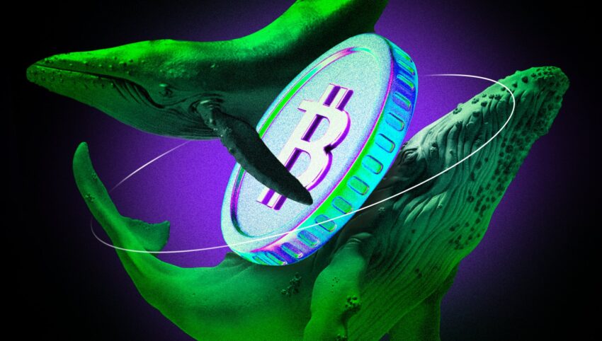 暗号クジラは引き続きディップを購入し、ビットコインで2億2700万ドルをすくい上げました