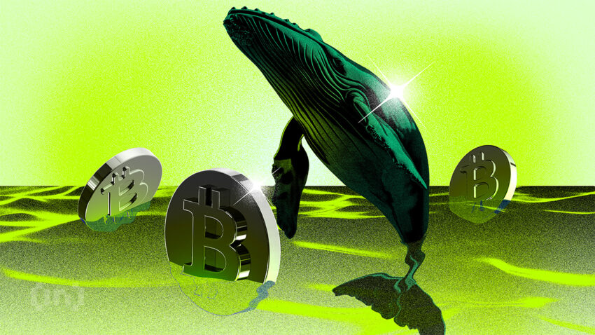 ビットコインのクジラは、誰もがパニックに陥っている間に買っています