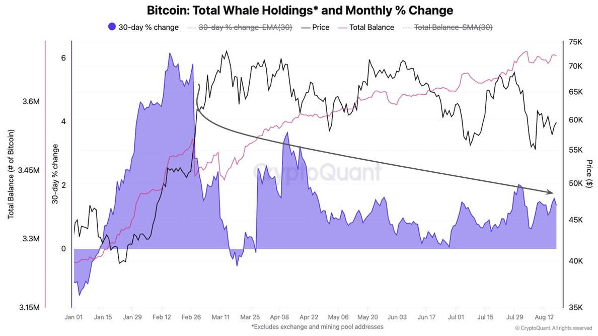 ビットコインクジラの保有。