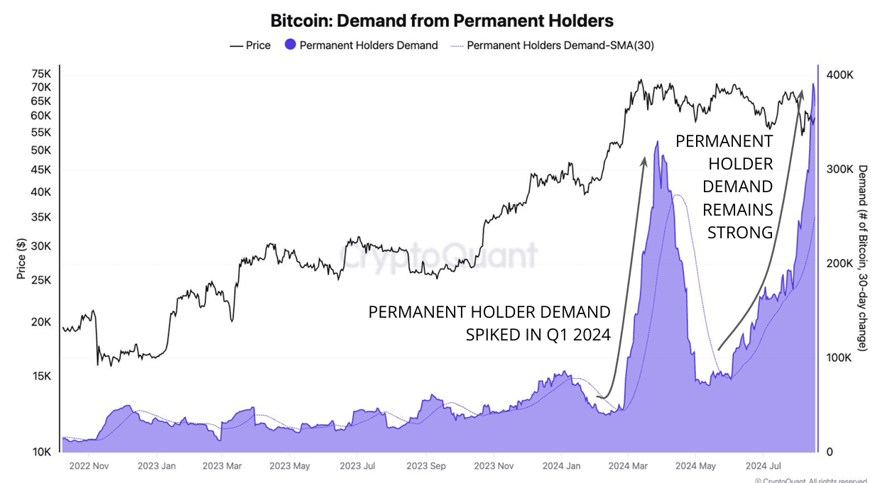 ビットコイン永久保有者の需要。