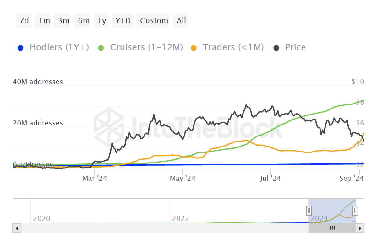 Toncoin Investors' Address Distribution.