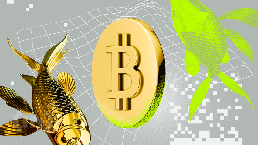 ビットコイン、流動性ブームで金の上昇を100日遅れで追う＝アナリスト