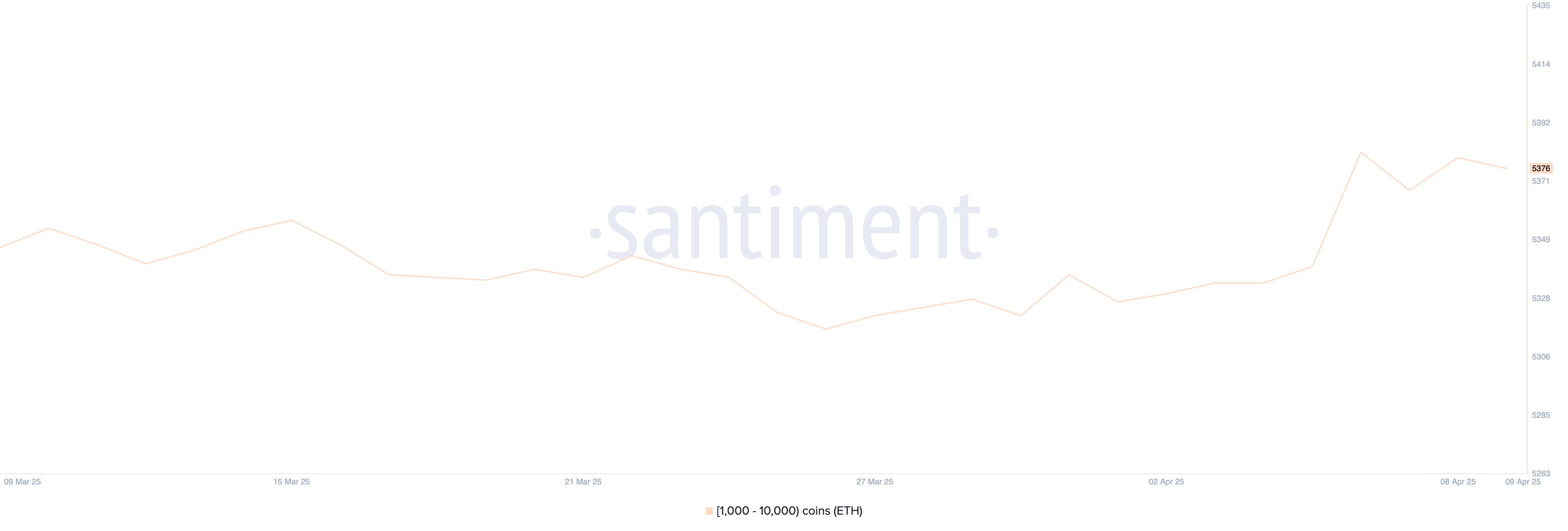 Ethereum Whales.