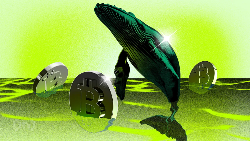 12年休眠のビットコインウォレットが3億2400万ドルの資金移動＝古いクジラの意図は？