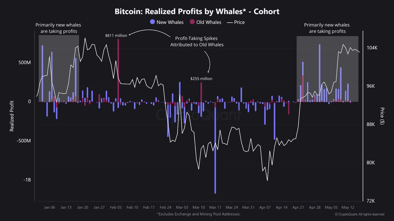 ビットコインクジラデータ