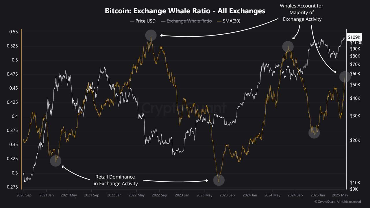ビットコイン: 取引所クジラ比率。