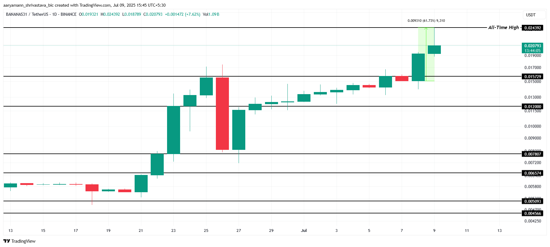 BANANAS31価格分析