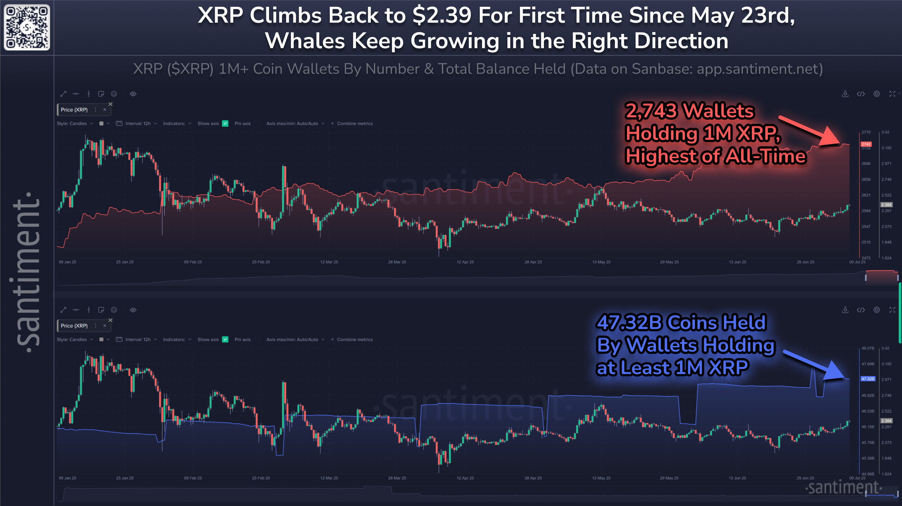 XRPの価格と年初来のXRPクジラの数。出典:Santiment。