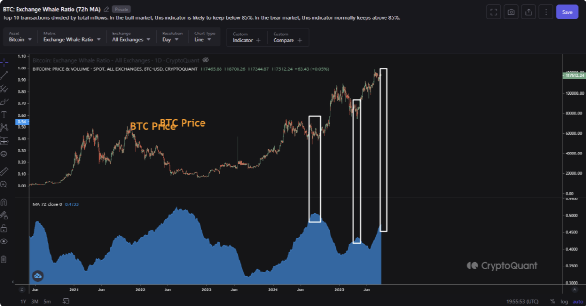 BTC取引所クジラ比率